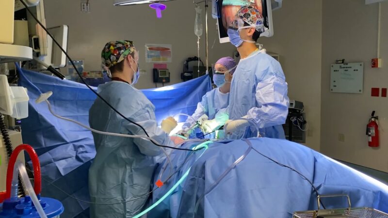 cholecystectomy - one of the treatment