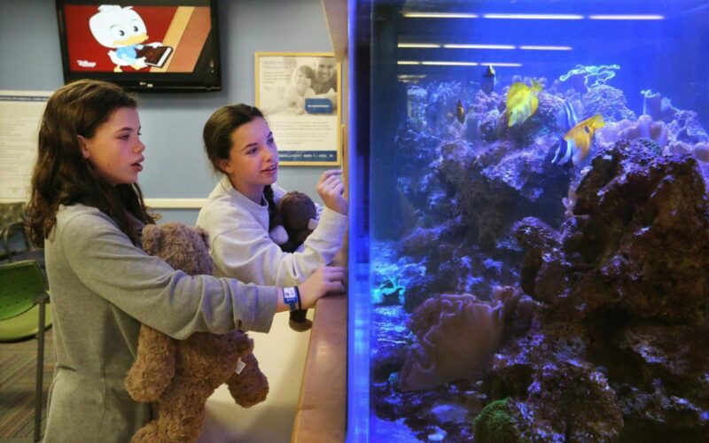 aquariums in child hospital